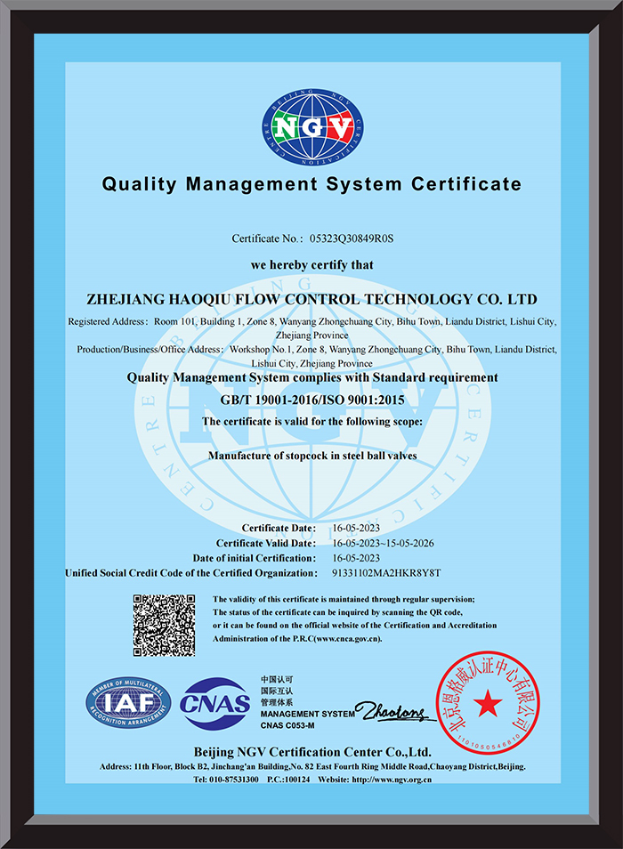 ISO 9001